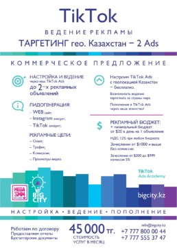 TikTok Казахстан ведение таргетинг зачисления бюджета настройка Алматы Астана Шымкент реклама